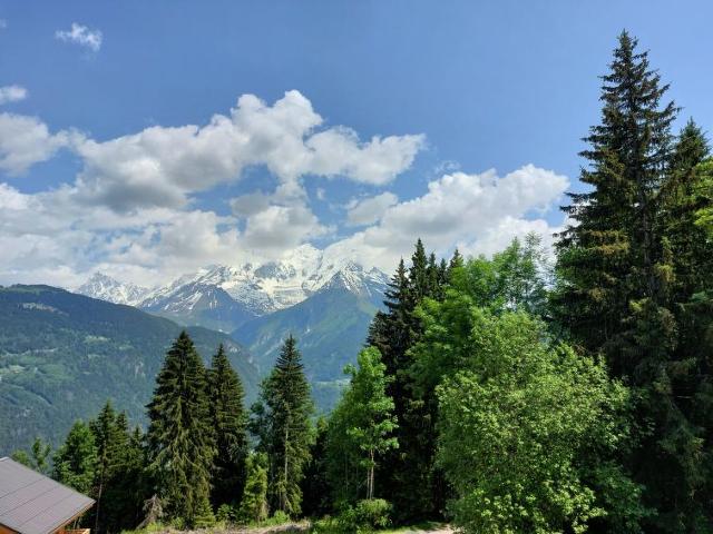 Appartement Les Tétras - Saint Gervais Mont-Blanc