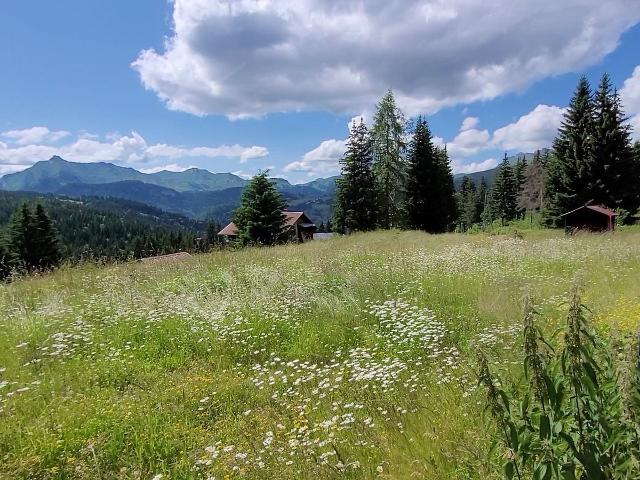 Chalet Les Gets, 3 pièces, 7 personnes - Les Gets