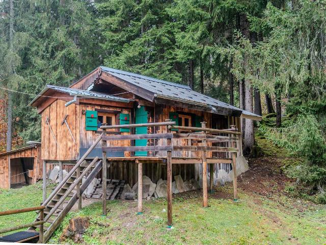 Appartement Morzine, 3 pièces, 4 personnes - Morzine