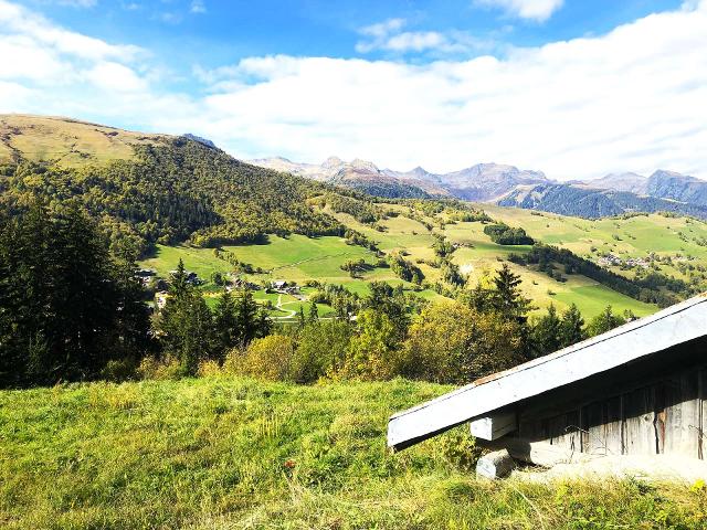 Appartement Cheval Blanc CHBC45MEN - Valmorel