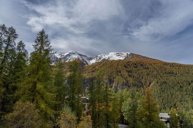 Appartements LES ECRINS - Les Orres