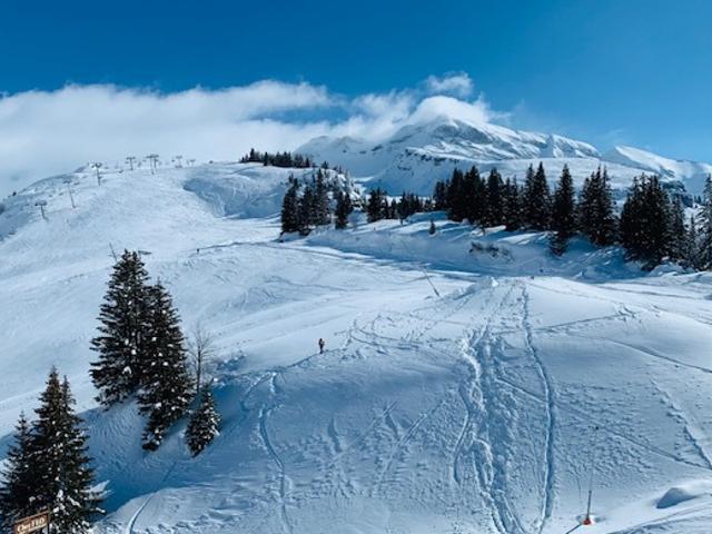 Appartement Avoriaz, 3 pièces, 6 personnes - Avoriaz