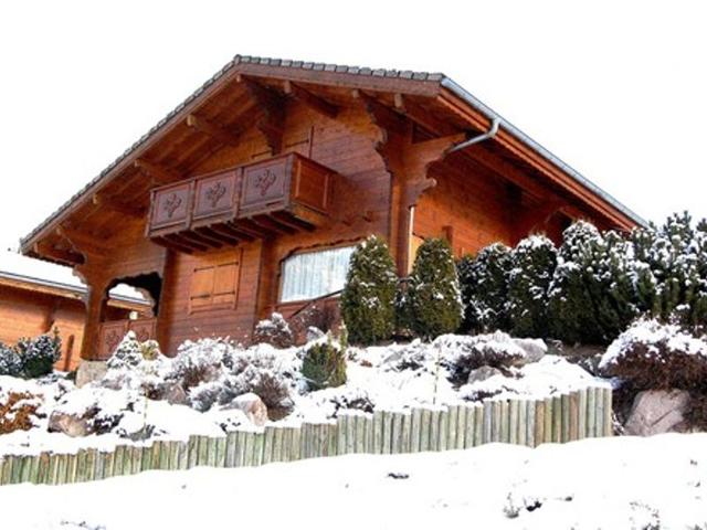 Chalet familial au pied des pistes avec terrasse et balcon FR-1-623-51 - Les Gets