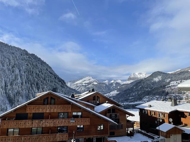 Chalet l'ORME - Châtel