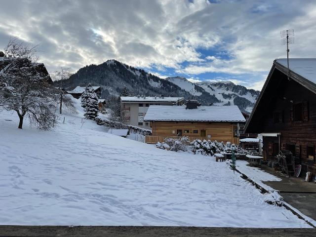 Chalet l'ORME - Châtel