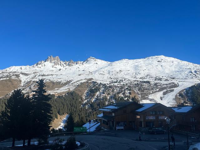 Appartement Alpinea - Méribel Mottaret 1850