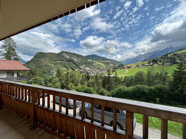 Appartement 3 chambres, ski aux pieds, terrasse, garage et Wi-Fi FR-1-437-106 - La Clusaz