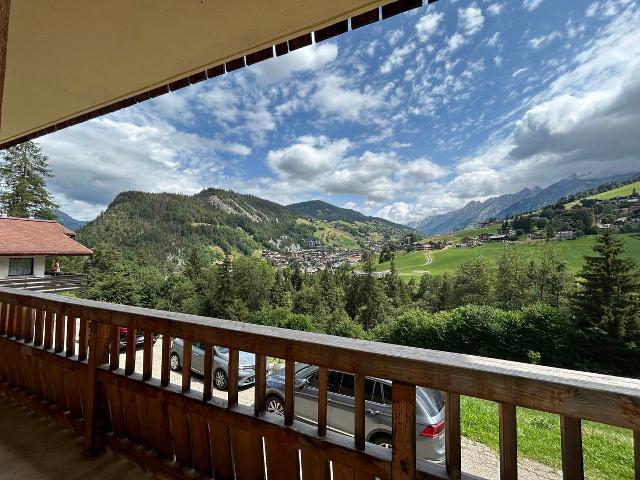 Appartement 3 chambres, ski aux pieds, terrasse, garage et Wi-Fi FR-1-437-106 - La Clusaz