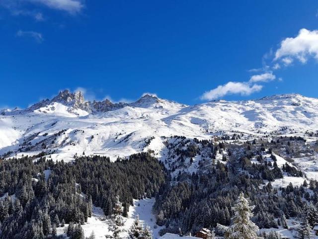 Méribel Mottaret - Appartement 3 chambres, 6 pers, parking, terrasse, skis aux pieds FR-1-613-105 - Méribel Mottaret 1850