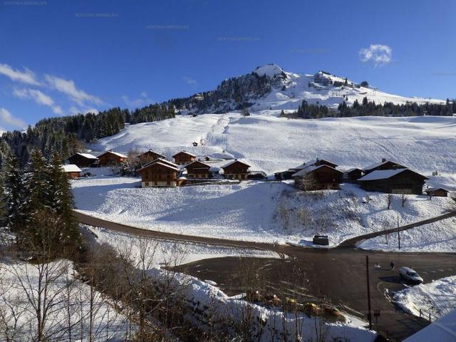 Joli T2 pour 6 pers, balcon sud, face aux pistes, proche commerces, Le Grand-Bornand FR-1-458-185 - Le Grand Bornand