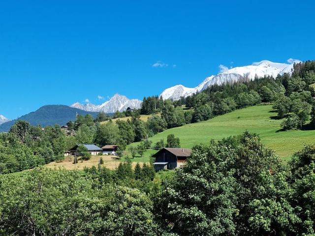 Appartement neuf avec vue Mont Blanc, parking et wifi à Combloux FR-1-560-113 - Combloux