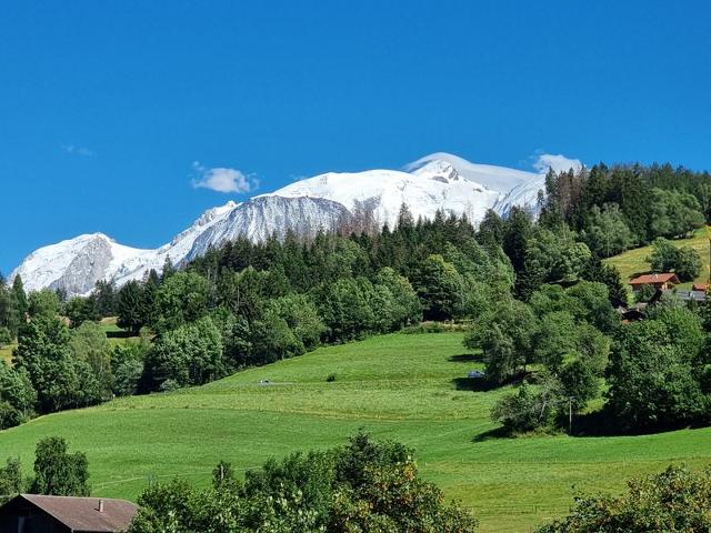 Appartement neuf avec vue Mont Blanc, parking et wifi à Combloux FR-1-560-113 - Combloux