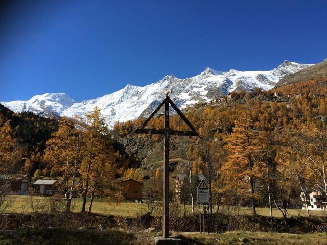 Appartement Alpenstern Aelpi - Saas - Grund