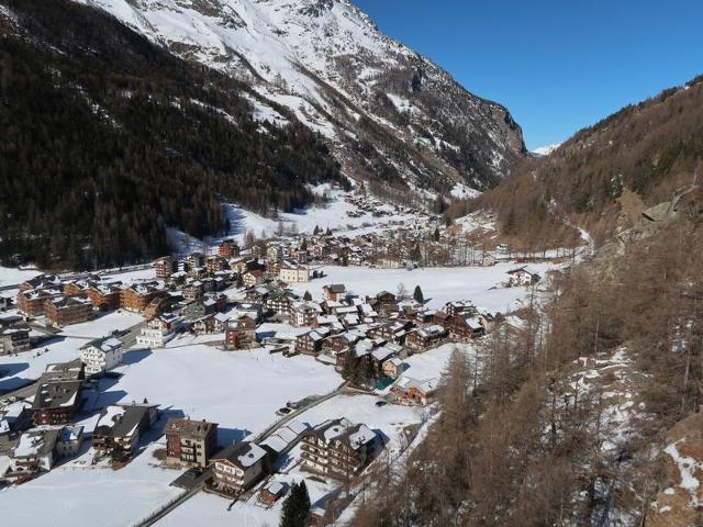 Châlet Häuschen Stadel - Saas - Grund