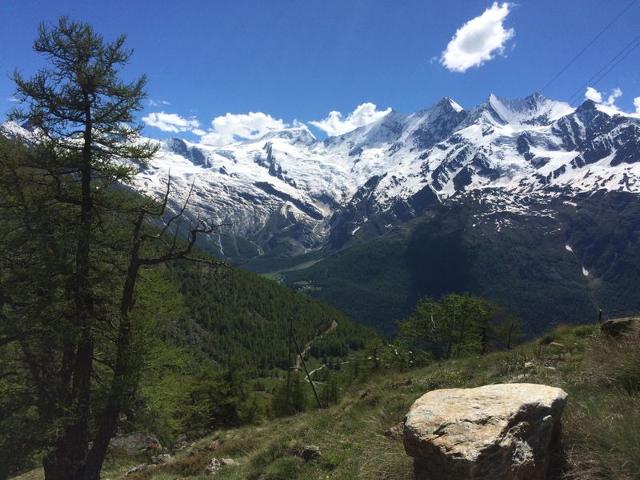 Châlet Häuschen Stadel - Saas - Grund