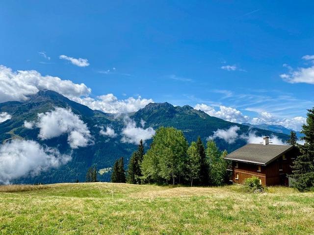 Chalet La Prairie - La Rosière