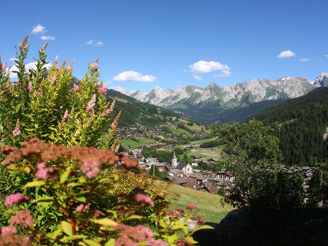 Appartement Le Grand-Bornand, 4 pièces, 6 personnes - Le Grand Bornand