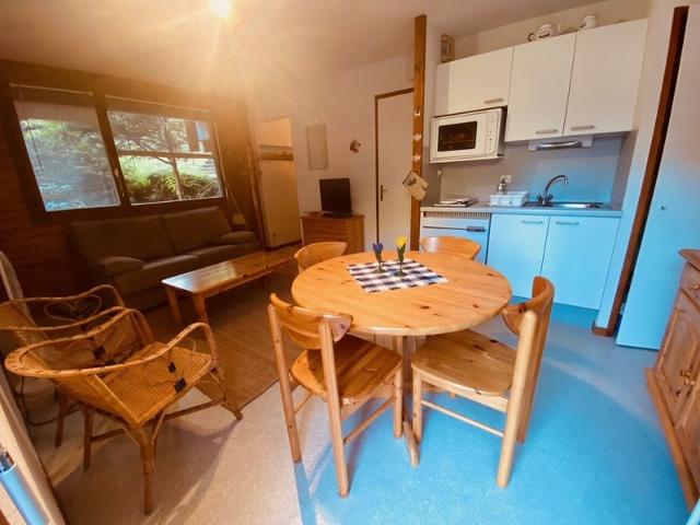 Appartement cosy avec terrasse, proche pistes et ski-bus, La Clusaz. FR-1-459-219 - La Clusaz