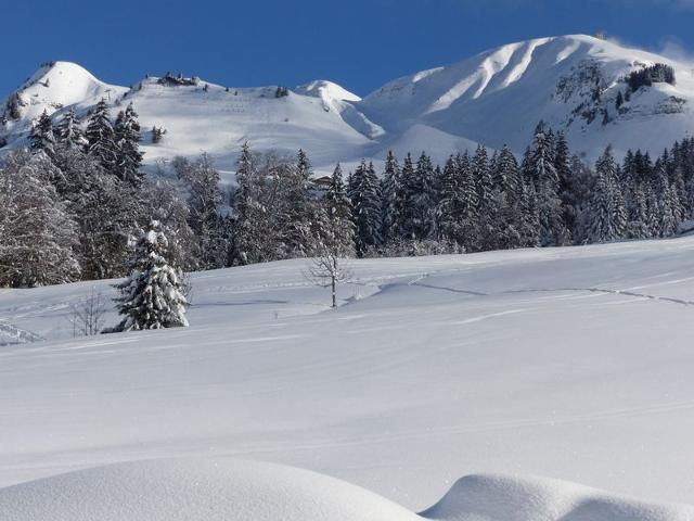 Appartement Le Grand-Bornand, 4 pièces, 10 personnes - Le Grand Bornand