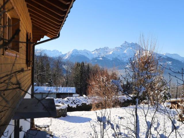 Châlet Chalet Picoulet - Villars - sur - Ollons 