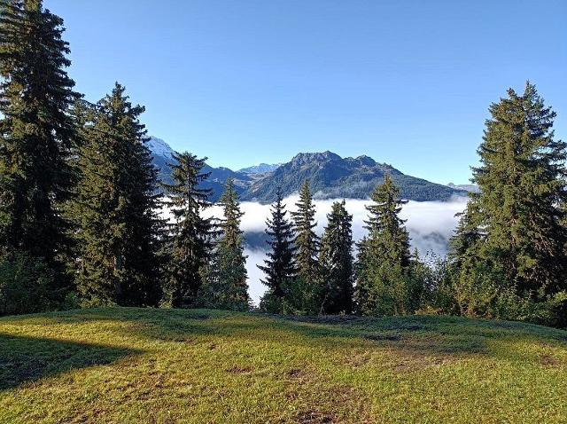 Le Gollet - La Rosière