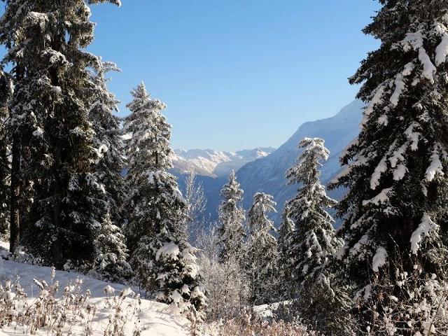 Le Gollet - La Rosière