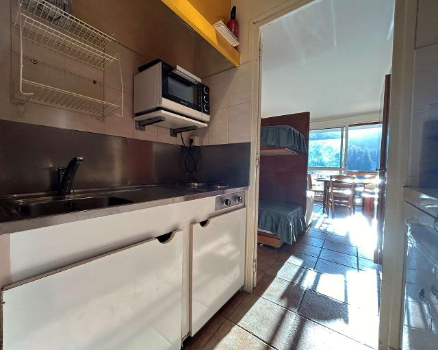 Appartement Bois D'aurouze Puy DEV100-11018 - Superdévoluy