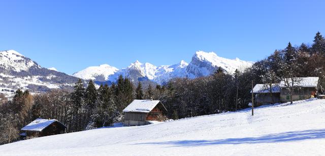 Appartement Les Eterlous 37- Appt skis aux pieds 4 pers - Morillon 1100 Les Esserts