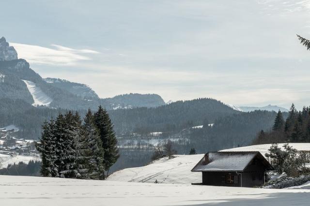 Appartements ROSIERES - Les Carroz d'Araches