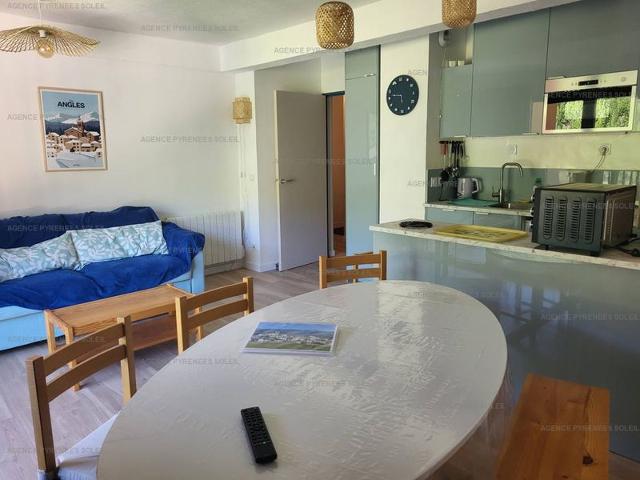 Appartement F2/cabine pieds des pistes avec balcon, parking privé et accès internet - Les Angles FR-1-295-197 - Les Angles