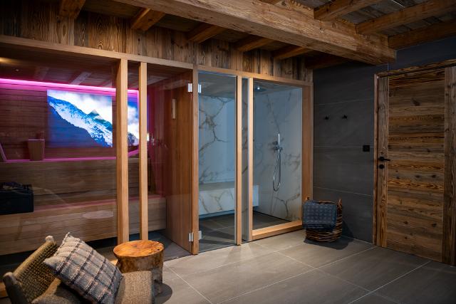 Chalet le CHAT DE L AIGUILLE - Vallandry