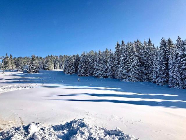 Appartement 2 pièces + cabine, 6 places, 36m², proche pistes, balcon, exposé Sud-Ouest FR-1-340-275 - Chamrousse