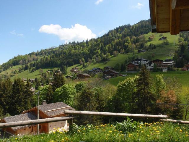 Chalet 12 pers - Sauna - Terrasse - Wifi FR-1-437-9 - La Clusaz