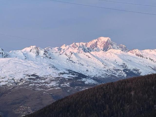 Appartements LE MANAKA - Plagne Montalbert