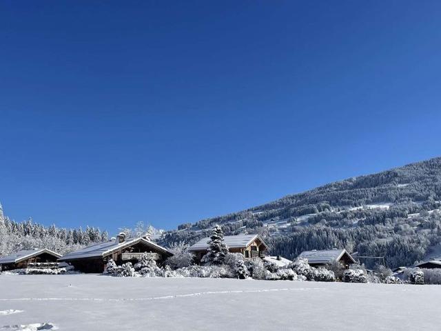 Charmant studio avec balcon exposé sud, casier à skis et parking, proche des pistes à Demi-Quartier - Megève