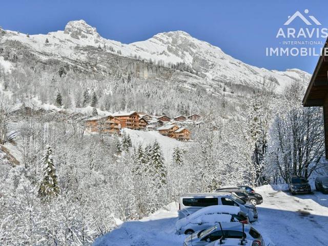 Magnifique appartement 6 pers, 2 chambres + mezzanine, à 50m des pistes FR-1-391-182 - Le Grand Bornand