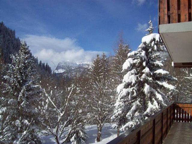 Chalet le BIVOUAC - Châtel