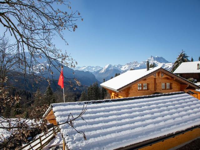 Châlet Chalet Nirvana - Villars - sur - Ollons 