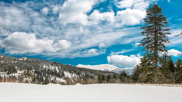 Studio Le Carina N°4 - ST4 - Chamrousse