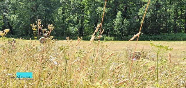 Appartement L'ouillon Ouillon A305 - Saint Sorlin d'Arves