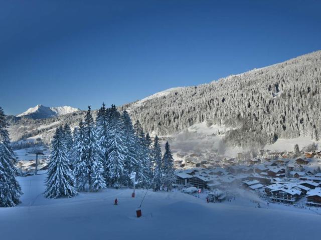 Charmant T2 + cabine, proche pistes et centre, balcon, cheminée, WIFI, parking, 4-5 pers. FR-1-685-80 - Les Gets