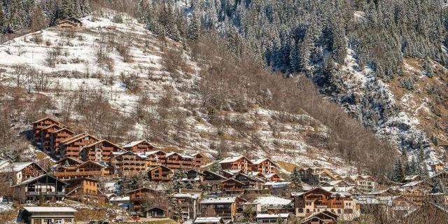 Appartements LA TOUR DU MERLE - Plagne - Champagny en Vanoise