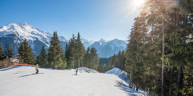 Appartements LE CHARDONNET - Plagne - Champagny en Vanoise