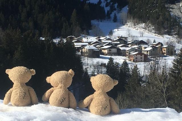 Chalet GRANGE D'auguste - Pralognan la Vanoise