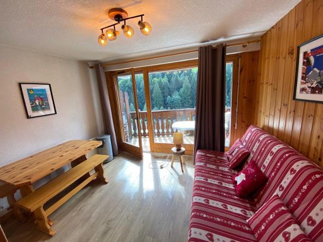 Appartements RESIDENCE LES CASTORS - Morzine