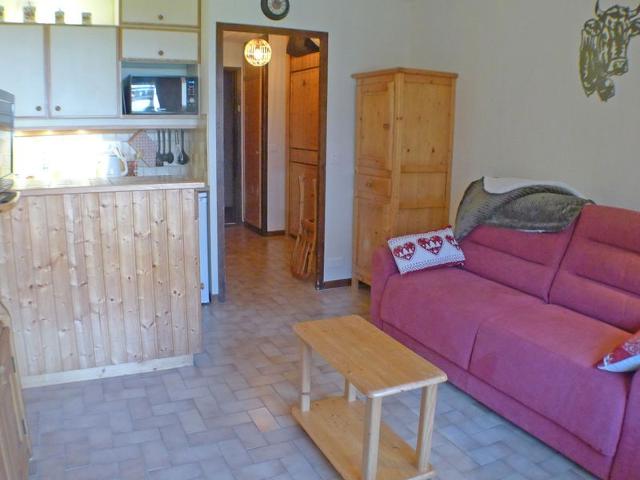 Studio cabine, balcon, internet et animaux admis FR-1-629-136 - Samoëns