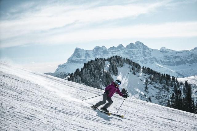 Résidence l'ALPAGE - Châtel