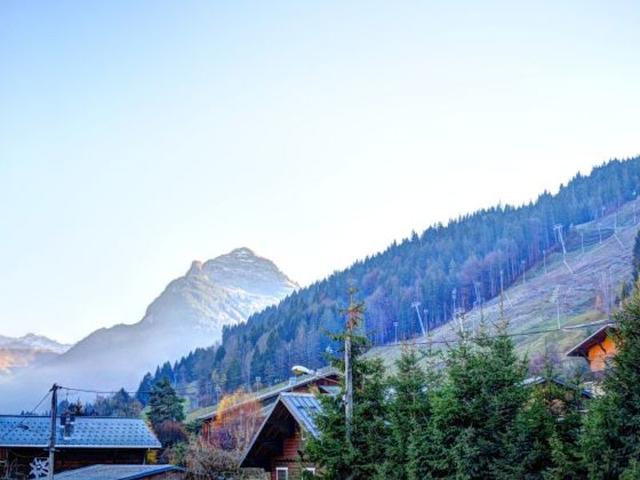 Studio rénové près du centre de Morzine, idéal pour 4 personnes avec terrasse et parking FR-1-524-83 - Morzine