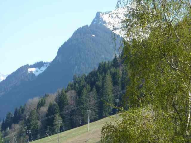 Appartement Idéal au Pied du Pleney pour 4/5 Personnes, à 800m du Centre de Morzine FR-1-524-94 - Morzine