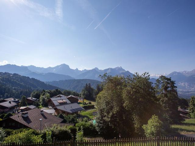 Châlet Chalet Domino - Villars - sur - Ollons 